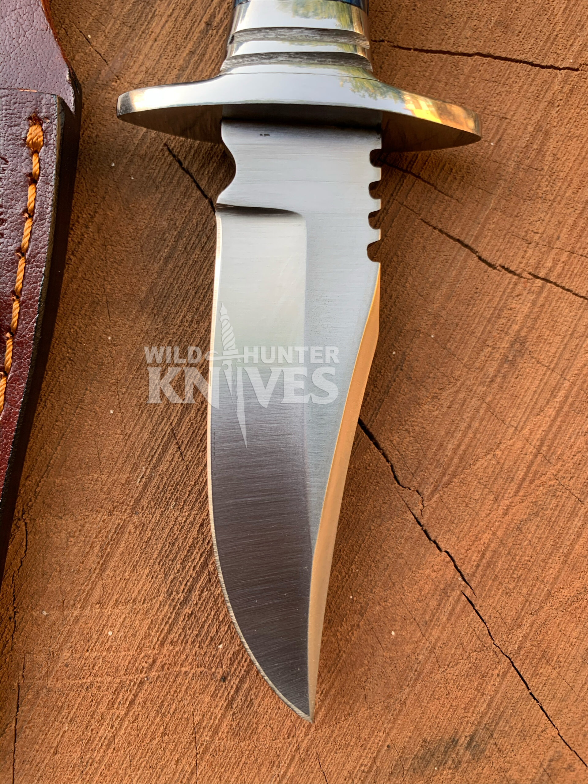 11C3AB6F-D68E-4AF4-9CE3-63E929F1088D