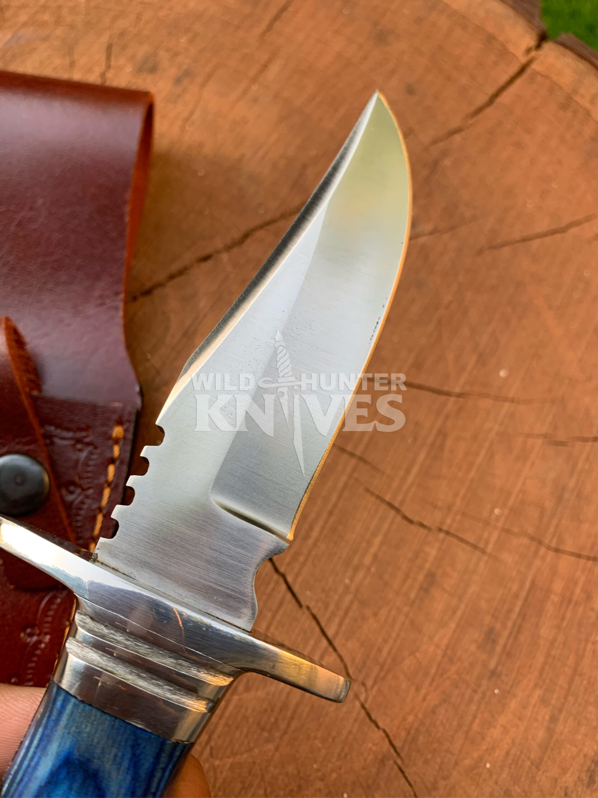 D4E7A54A-9A2D-499B-A5CD-F06ABE0AF7C3